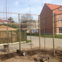 Aanleg houtwerk